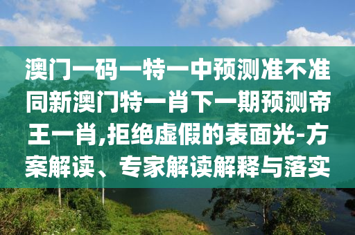 澳門(mén)一碼一特一中預(yù)測(cè)準(zhǔn)不準(zhǔn)同新澳門(mén)特一肖下一期預(yù)測(cè)帝王一肖,拒絕虛假的表面光-方案解讀、專(zhuān)家解讀解釋與落實(shí)