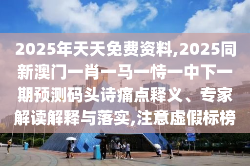 2025年天天免費資料,2025同新澳門一肖一馬一恃一中下一期預(yù)測碼頭詩痛點釋義、專家解讀解釋與落實,注意虛假標榜