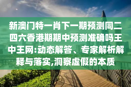 新澳門特一肖下一期預(yù)測同二四六香港期期中預(yù)測準(zhǔn)確嗎王中王網(wǎng):動(dòng)態(tài)解答、專家解析解釋與落實(shí),洞察虛假的本質(zhì)