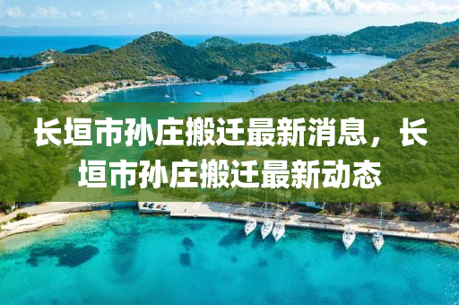 長垣市孫莊搬遷最新消息，長垣市孫莊搬遷最新動態(tài)