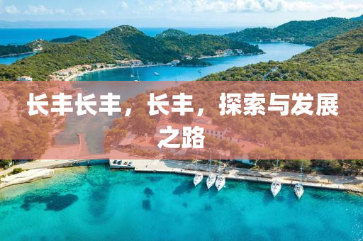 長豐長豐，長豐，探索與發(fā)展之路