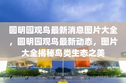 圓明園觀鳥(niǎo)最新消息圖片大全，圓明園觀鳥(niǎo)最新動(dòng)態(tài)，圖片大全揭秘鳥(niǎo)類(lèi)生態(tài)之美