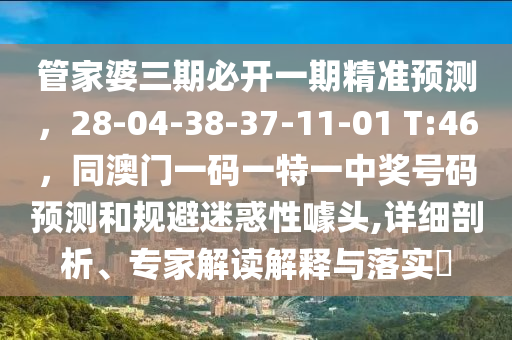 管家婆三期必開一期精準預(yù)測，28-04-38-37-11-01 T:46，同澳門一碼一特一中獎號碼預(yù)測和規(guī)避迷惑性噱頭,詳細剖析、專家解讀解釋與落實?