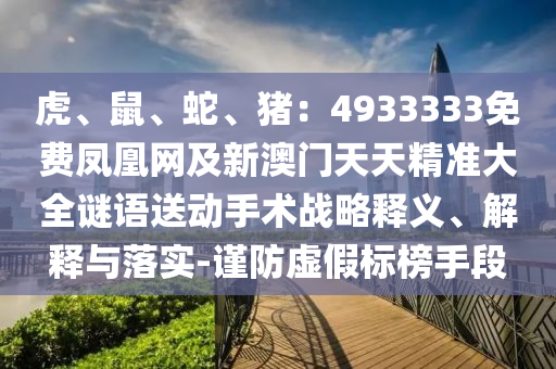 虎、鼠、蛇、豬：4933333免費(fèi)鳳凰網(wǎng)及新澳門天天精準(zhǔn)大全謎語(yǔ)送動(dòng)手術(shù)戰(zhàn)略釋義、解釋與落實(shí)-謹(jǐn)防虛假標(biāo)榜手段