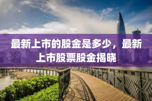 最新上市的股金是多少，最新上市股票股金揭曉