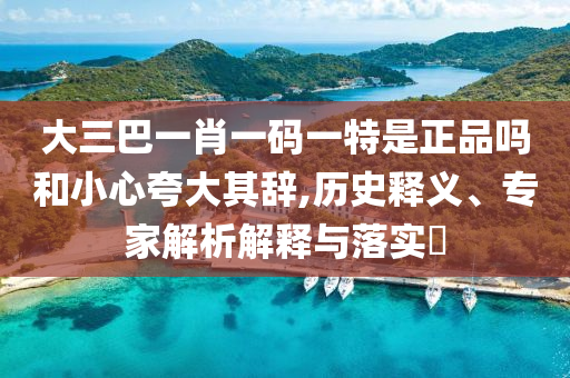 大三巴一肖一碼一特是正品嗎和小心夸大其辭,歷史釋義、專家解析解釋與落實(shí)?