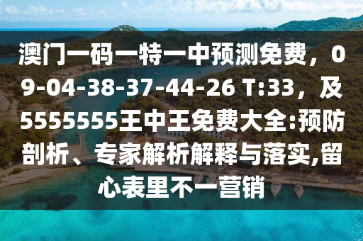 澳門一碼一特一中預測免費，09-04-38-37-44-26 T:33，及5555555王中王免費大全:預防剖析、專家解析解釋與落實,留心表里不一營銷