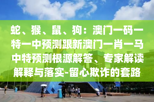 蛇、猴、鼠、狗：澳門一碼一特一中預(yù)測跟新澳門一肖一馬中特預(yù)測根源解答、專家解讀解釋與落實-留心欺詐的套路