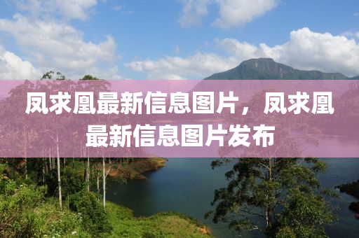 鳳求凰最新信息圖片，鳳求凰最新信息圖片發(fā)布