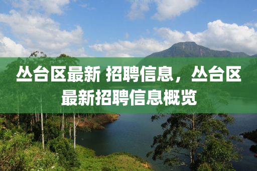 叢臺區(qū)最新 招聘信息，叢臺區(qū)最新招聘信息概覽