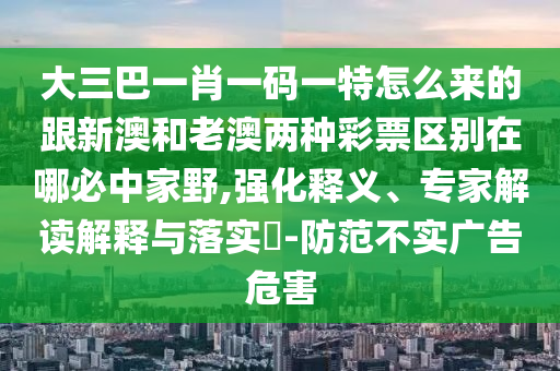 大三巴一肖一碼一特怎么來(lái)的跟新澳和老澳兩種彩票區(qū)別在哪必中家野,強(qiáng)化釋義、專家解讀解釋與落實(shí)?-防范不實(shí)廣告危害