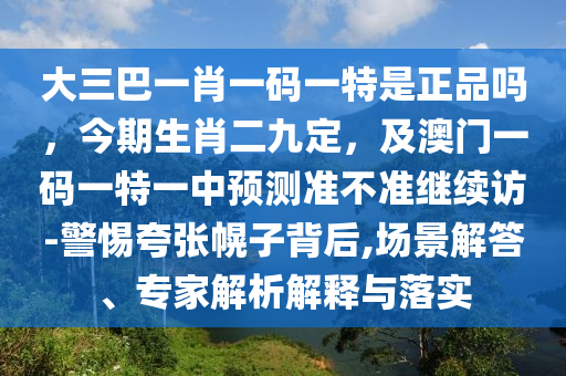 大三巴一肖一碼一特是正品嗎，今期生肖二九定，及澳門一碼一特一中預(yù)測準(zhǔn)不準(zhǔn)繼續(xù)訪-警惕夸張幌子背后,場景解答、專家解析解釋與落實(shí)