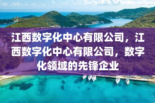 江西數(shù)字化中心有限公司，江西數(shù)字化中心有限公司，數(shù)字化領(lǐng)域的先鋒企業(yè)