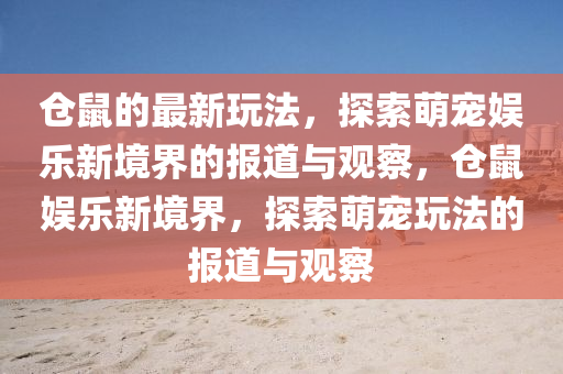 倉鼠的最新玩法，探索萌寵娛樂新境界的報道與觀察，倉鼠娛樂新境界，探索萌寵玩法的報道與觀察