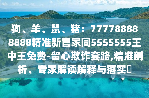 狗、羊、鼠、豬：777788888888精準(zhǔn)新官家同5555555王中王免費(fèi)-留心欺詐套路,精準(zhǔn)剖析、專(zhuān)家解讀解釋與落實(shí)?