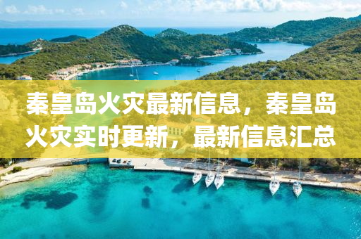 秦皇島火災(zāi)最新信息，秦皇島火災(zāi)實(shí)時(shí)更新，最新信息匯總