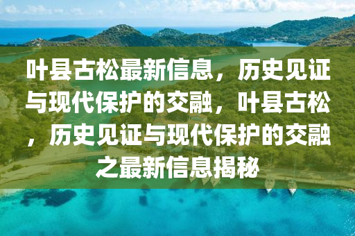葉縣古松最新信息，歷史見證與現(xiàn)代保護(hù)的交融，葉縣古松，歷史見證與現(xiàn)代保護(hù)的交融之最新信息揭秘