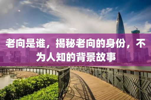 老向是誰(shuí)，揭秘老向的身份，不為人知的背景故事