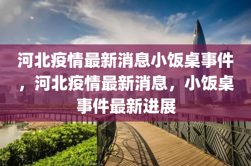 河北疫情最新消息小飯桌事件，河北疫情最新消息，小飯桌事件最新進展