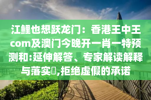 江鯉也想躍龍門：香港王中王com及澳門今晚開一肖一特預測和:延伸解答、專家解讀解釋與落實?,拒絕虛假的承諾