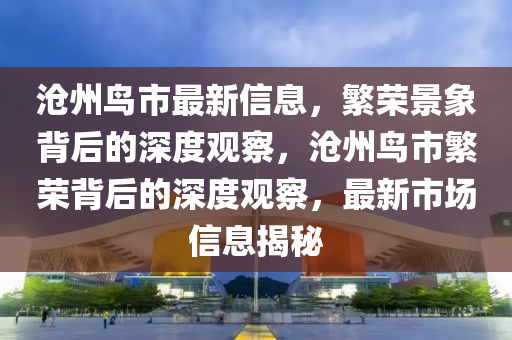 滄州鳥(niǎo)市最新信息，繁榮景象背后的深度觀察，滄州鳥(niǎo)市繁榮背后的深度觀察，最新市場(chǎng)信息揭秘