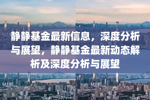 靜靜基金最新信息，深度分析與展望，靜靜基金最新動(dòng)態(tài)解析及深度分析與展望